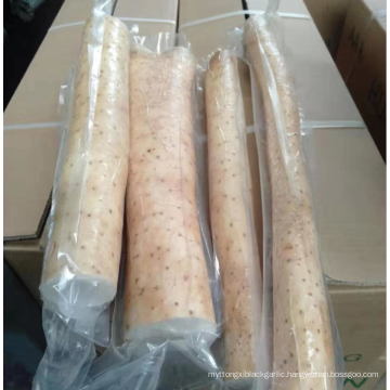 Chinese yam, white /green radish, fresh vegetable export by sea